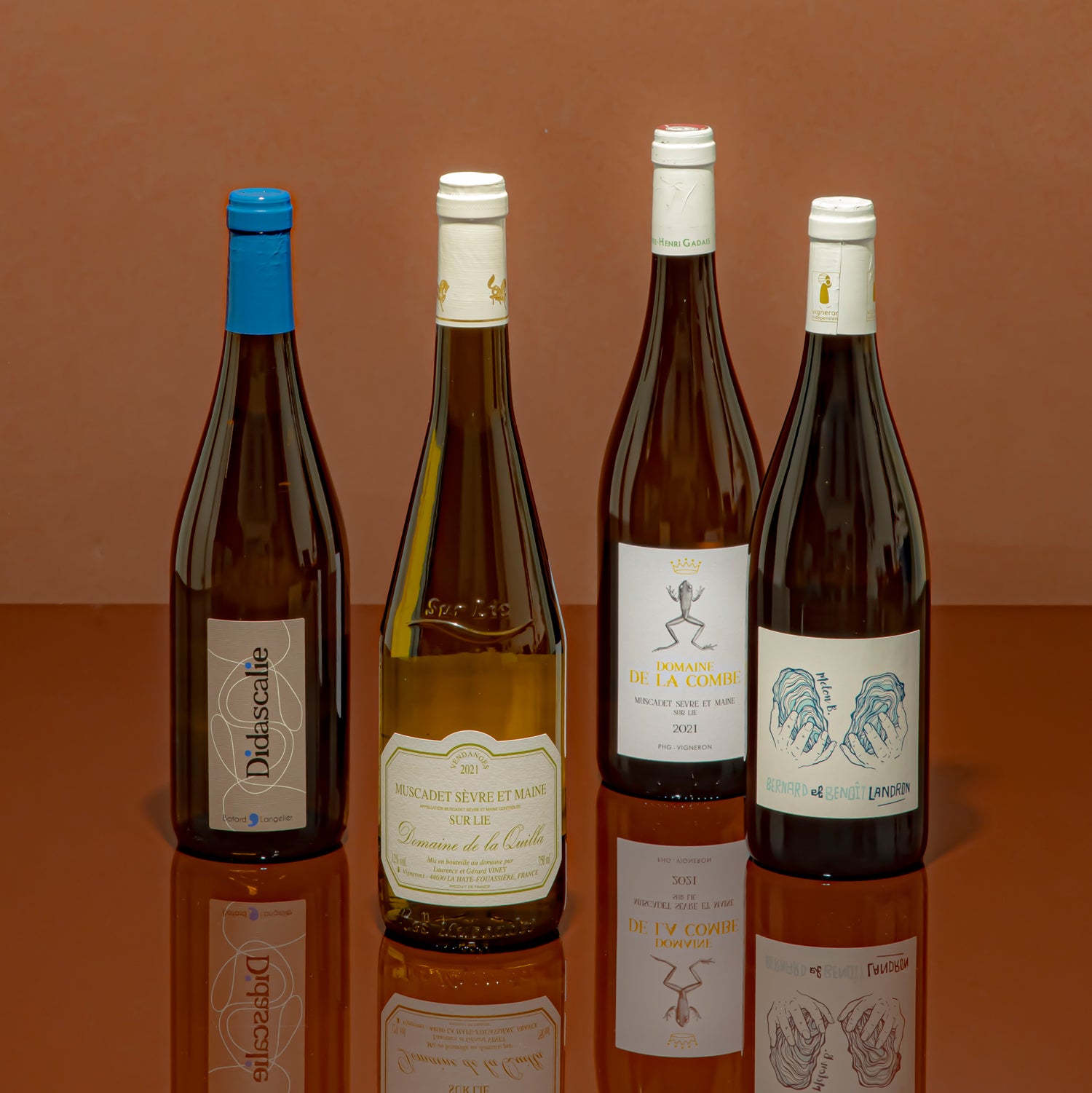 Spotlight On ➺ Muscadet