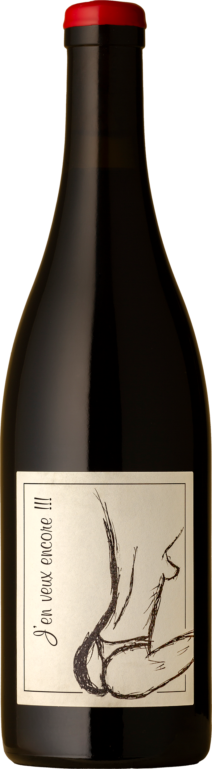 Anne & Jean-François Ganevat - Veux Encore! Gamay 2022 Red Wine