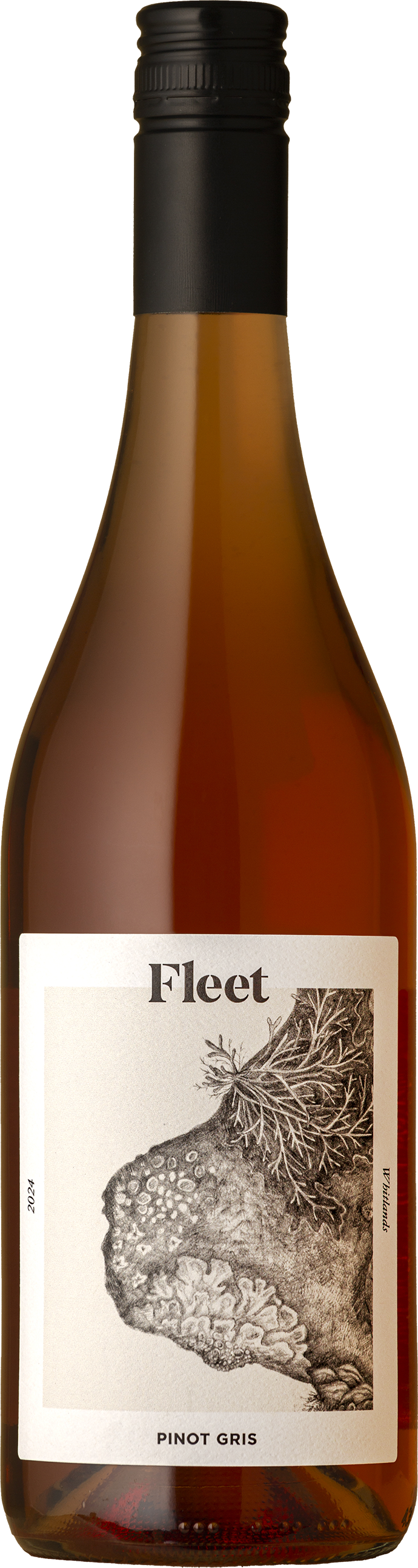 Fleet - Lichen Skin Contact Pinot Gris 2025 Orange Wine