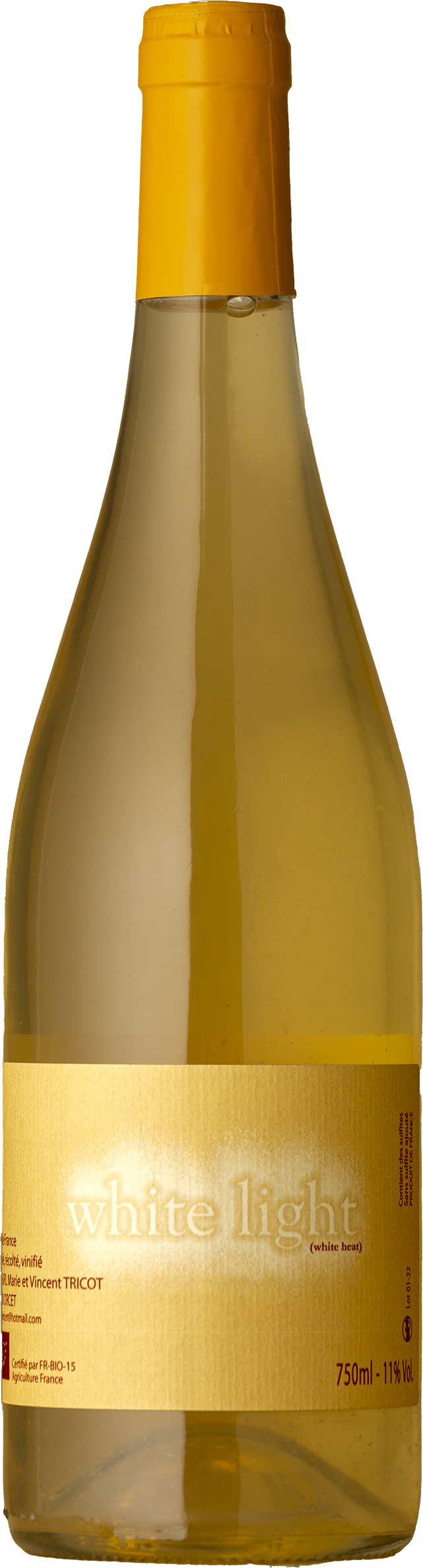Marie et Vincent Tricot - White Light Blanc 2022 White Wine