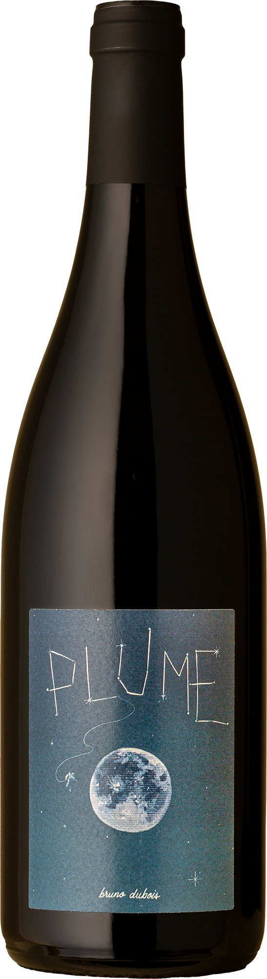 Domaine Bruno Dubois - Saumur Plume Cabernet Franc 2021 Red Wine