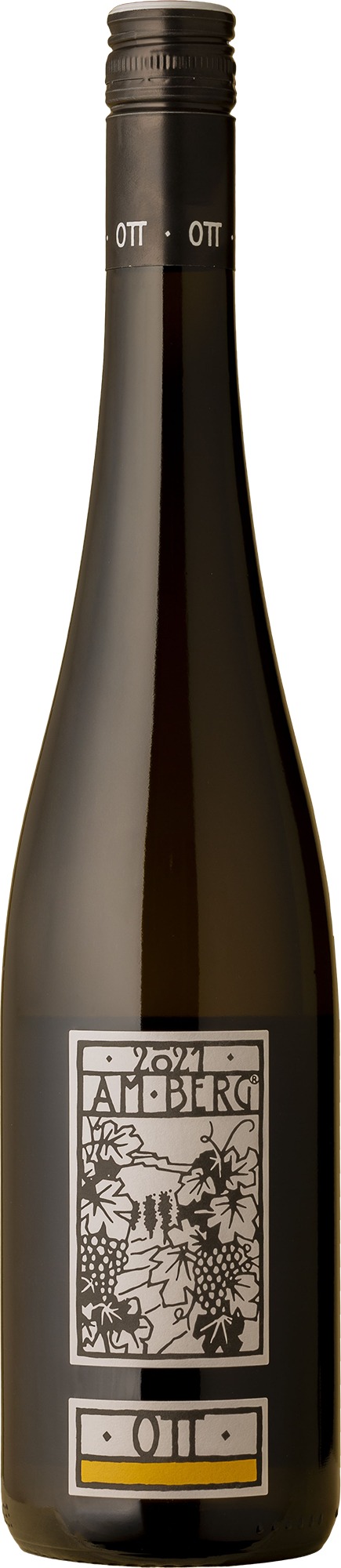 Weingut Bernhard Ott - Am Berg Grüner Veltliner 2021 White Wine