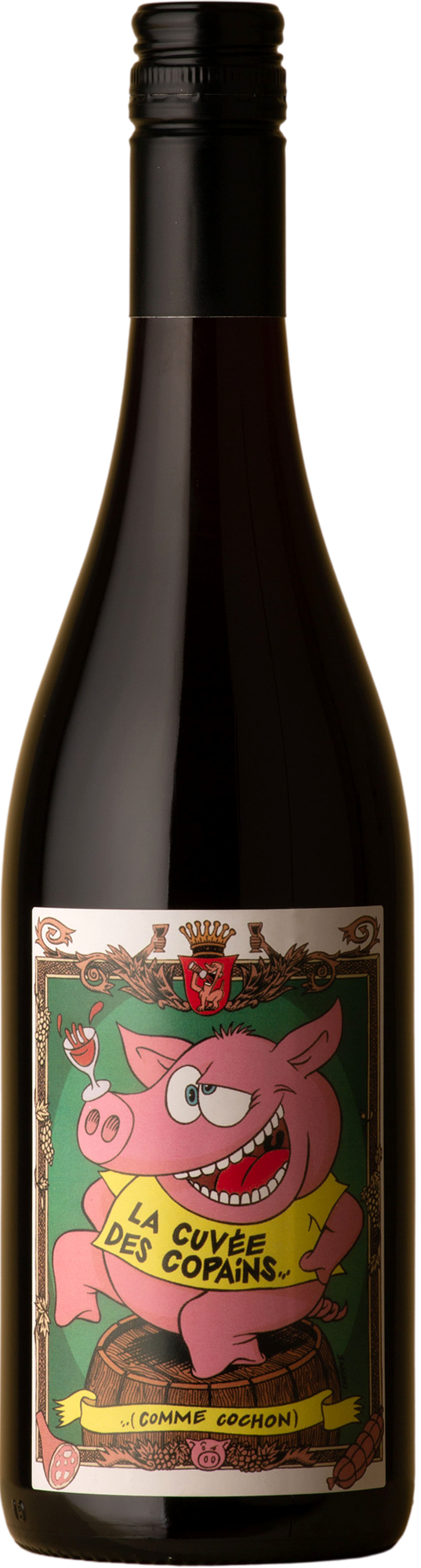 Vignerons d'Estezargues - La Cuvee des Copains Cotes du Rhone Cinsault Blend 2021 Red Wine