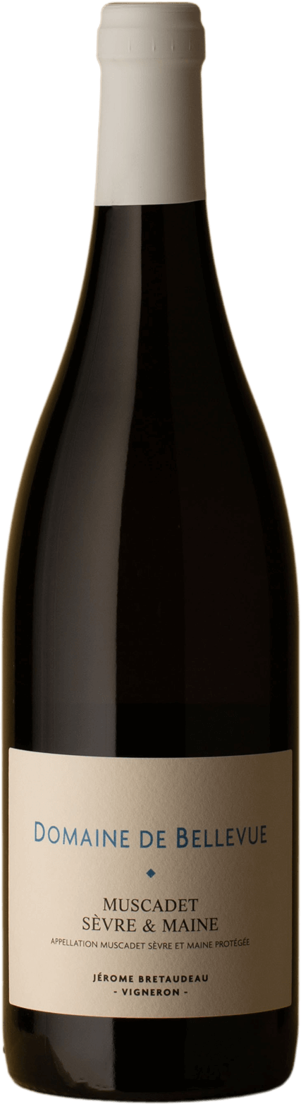 Domaine de Bellevue - Muscadet Sèvre-et-Maine Melon Blanc 2019 White Wine