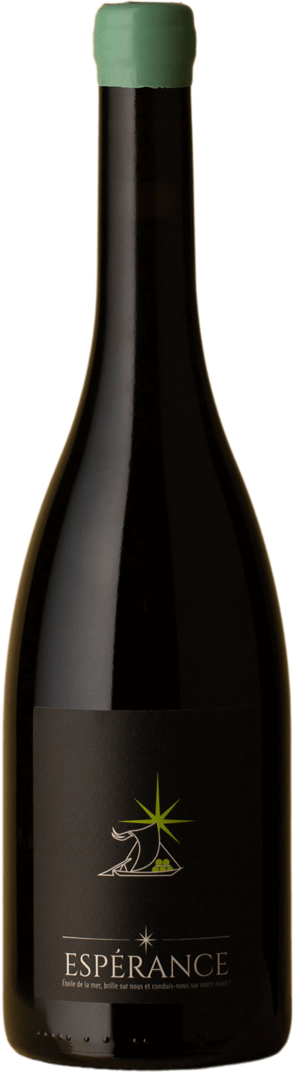 Terre de l'Elu - Espérance Pineau d'Aunis 2018 Red Wine