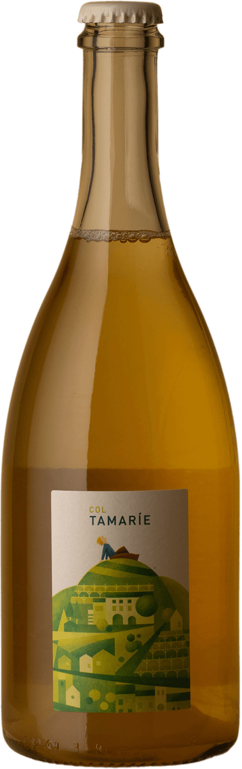 Col Tamarie - Prosecco NV Sparkling Wine