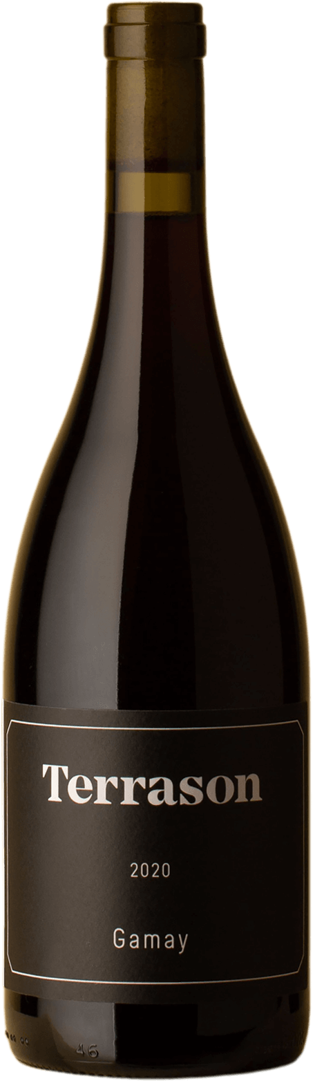 Terrason - Gamay 2020 Red Wine