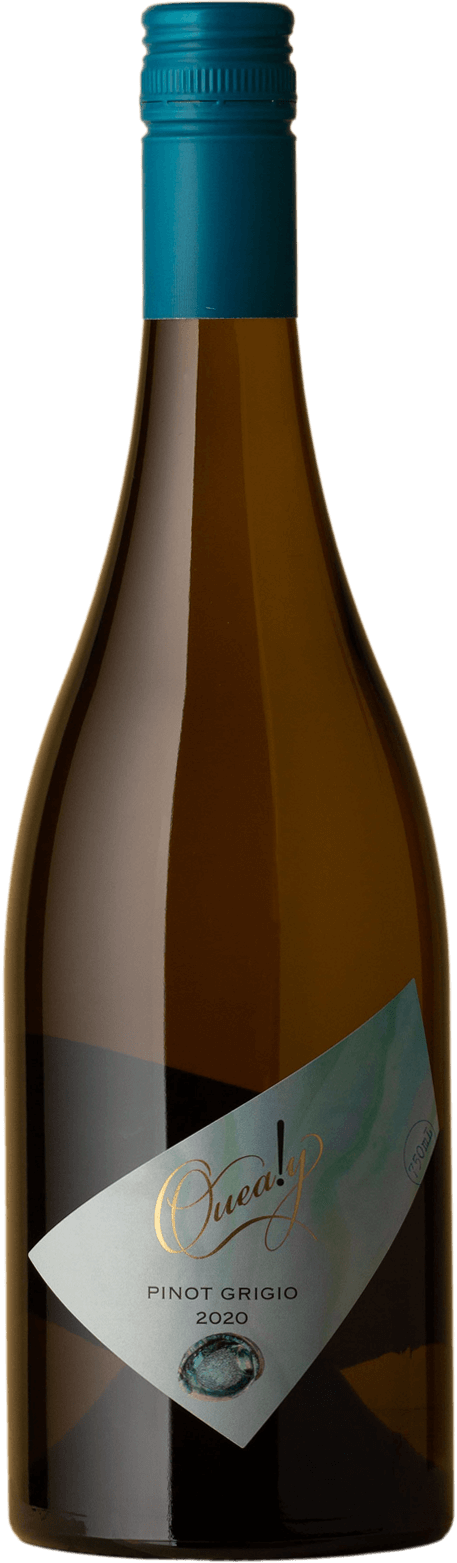 Quealy - Pinot Grigio 2020 White Wine