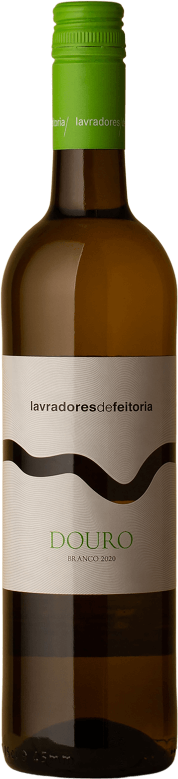 Lavradores de Feitoria - Malvasia Fina Blend 2020 White Wine