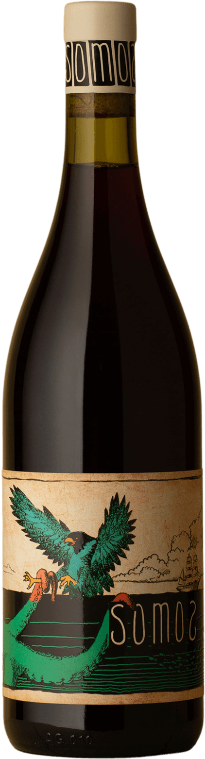 Somos - Tintito Red Blend 2020 Red Wine