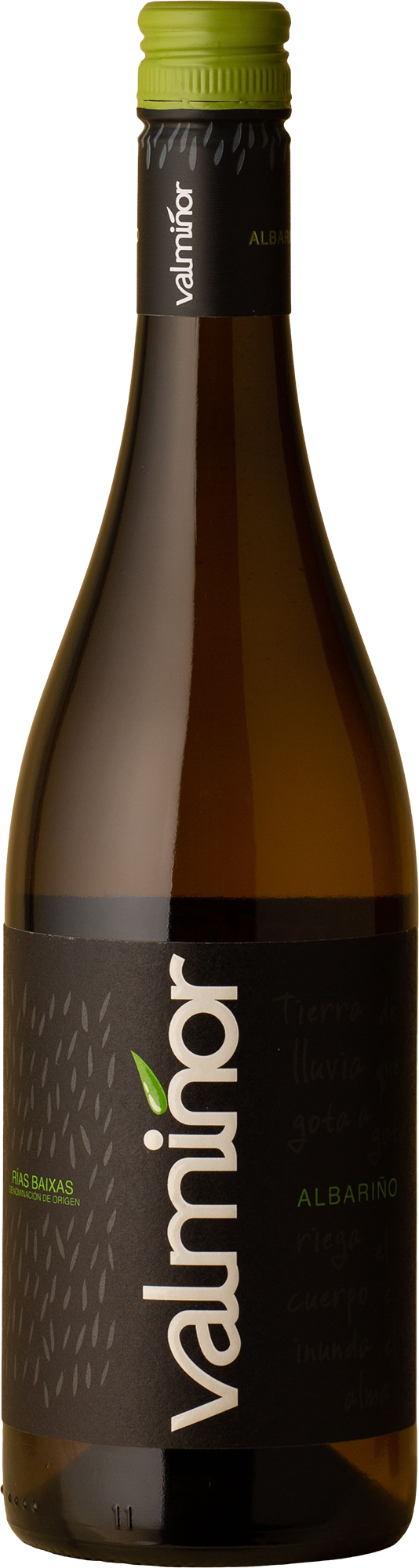 Valmiñor - Albariño 2019 White Wine