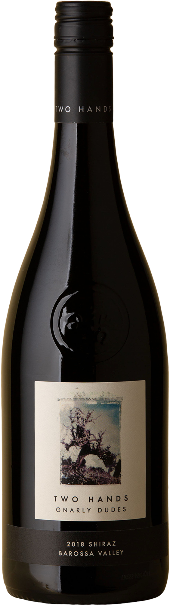 Two Hands - Gnarly Dudes Shiraz 2018 Red Wine