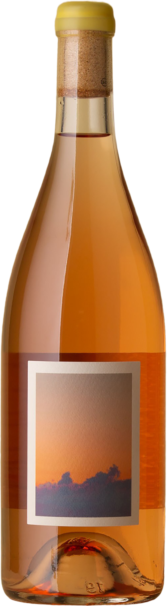 Sven Joschke - La Francesca Dolcetto Rose 2019 Rose