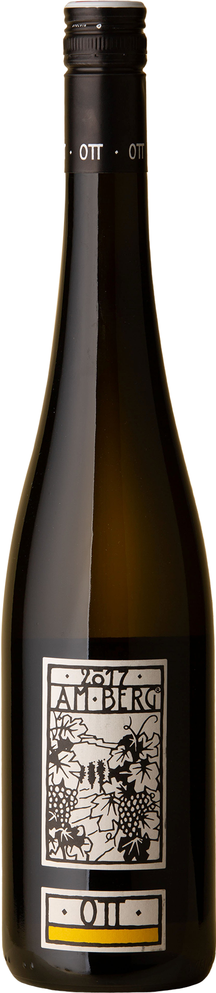 Weingut Bernhard Ott - Am Berg Grüner Veltliner 2017 White Wine