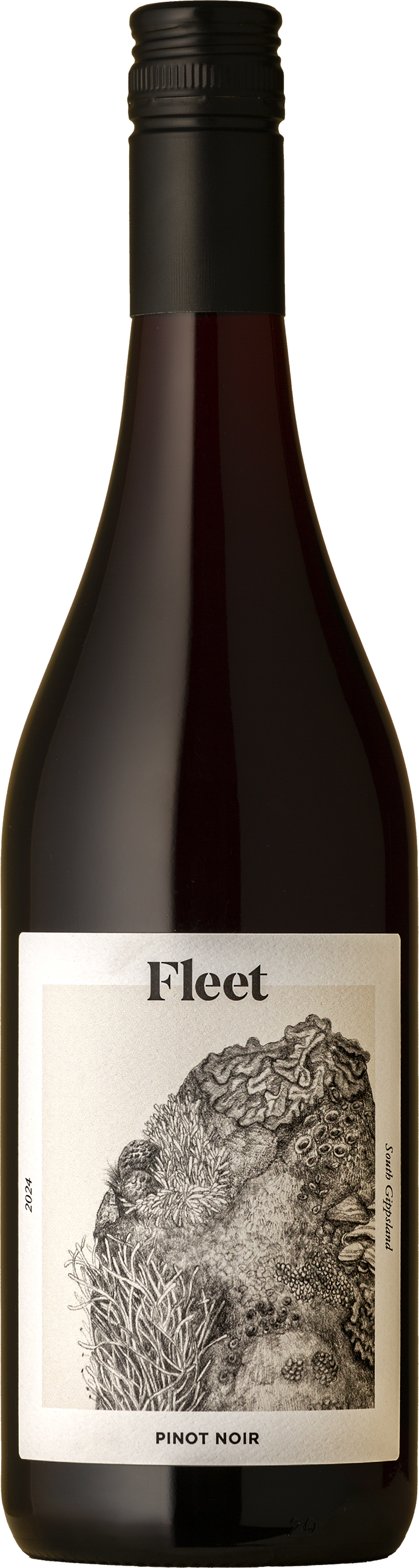 Fleet - Lichen Pinot Noir 2024 Red Wine