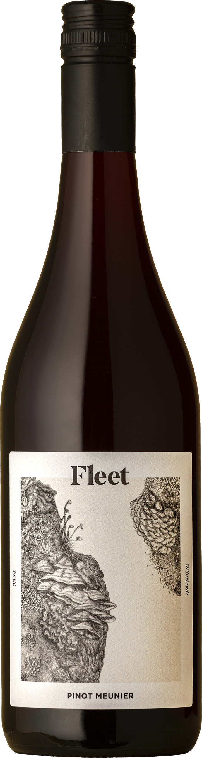 Fleet - Lichen Pinot Meunier 2024 Red Wine