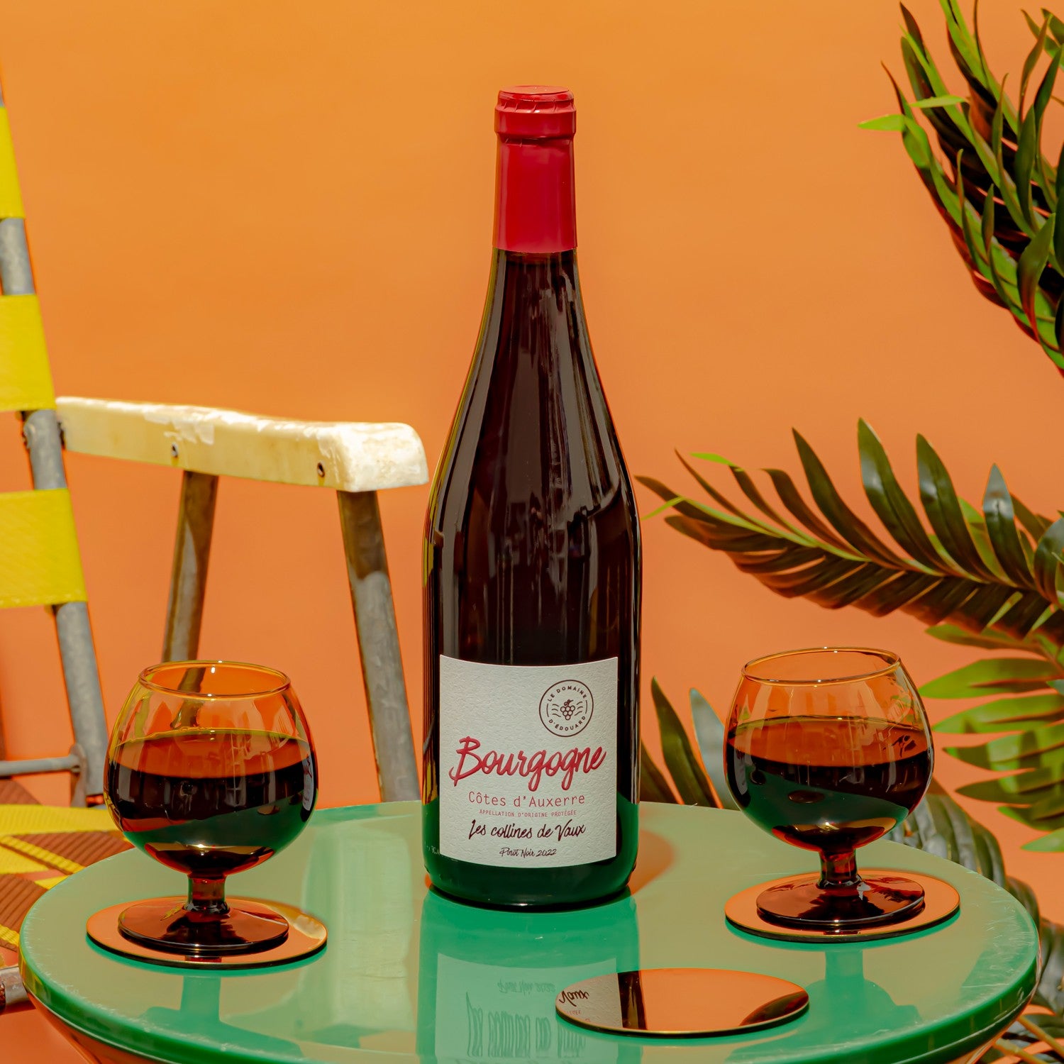 Domaine d'Edouard Bourgogne Côtes d'Auxerre Pinot Noir 2022 bottle