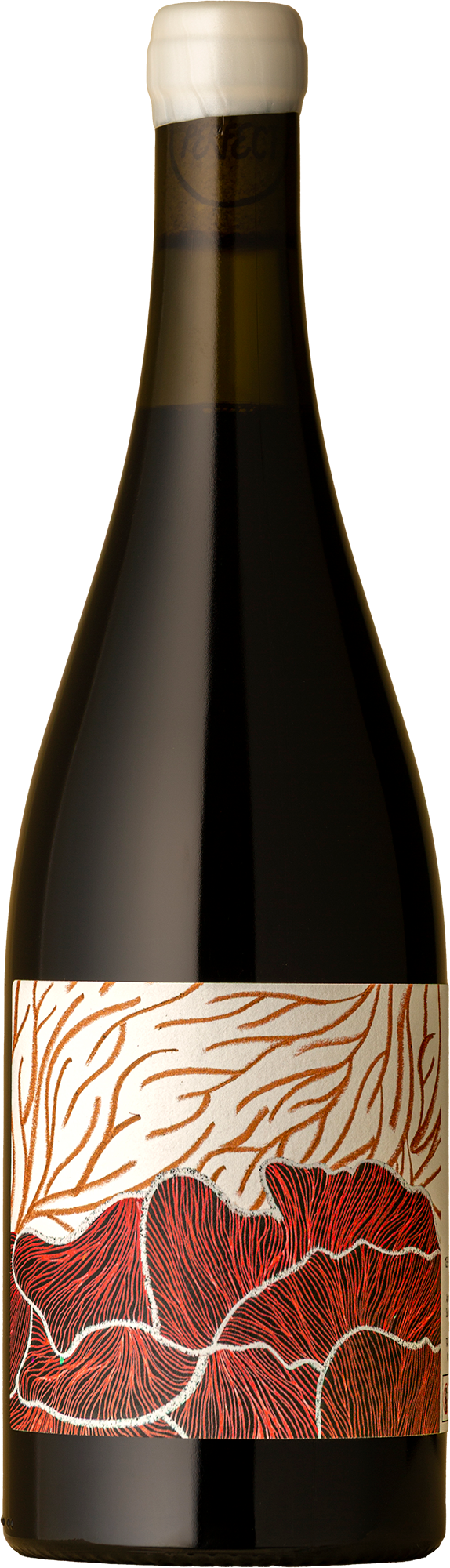 Future Perfect - Shiraz 2024 Red Wine