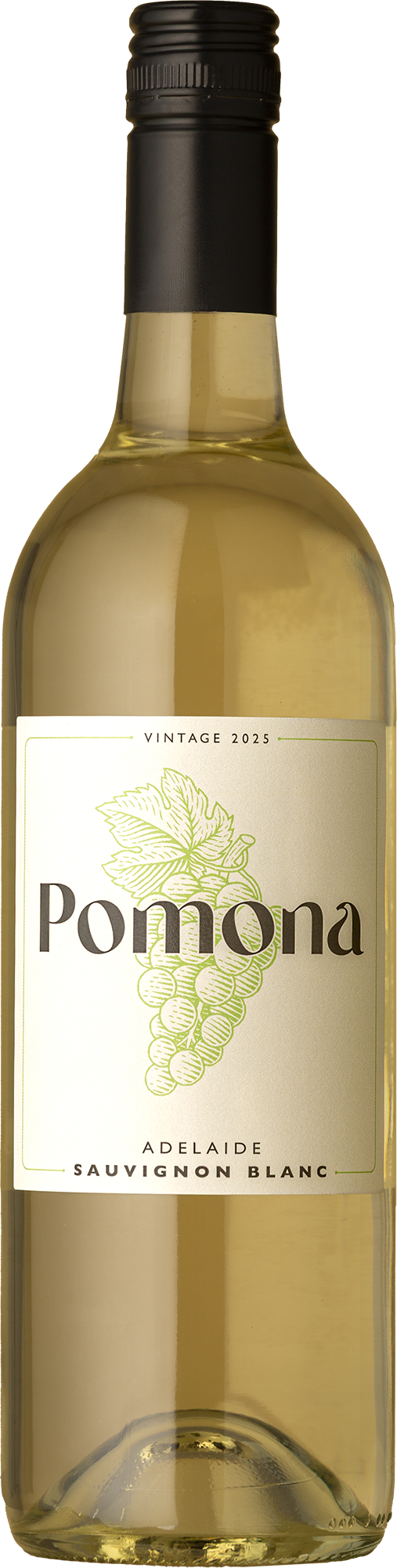 Pomona - Sauvignon Blanc 2025