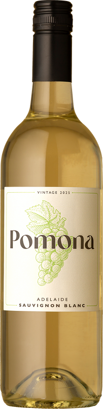 Pomona - Sauvignon Blanc 2025 White Wine
