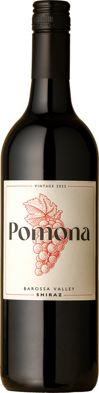 Pomona - Shiraz 2025 Red Wine