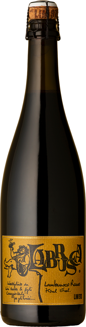 Lini 910 - Labrusca Frizzante Lambrusco NV – Sometimes Always