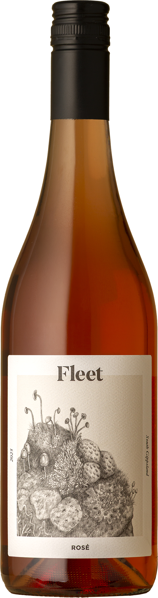 Fleet - Lichen Rosé 2025 Rosé
