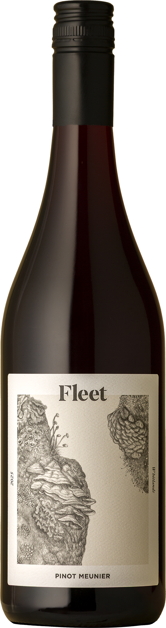 Fleet - Lichen Pinot Meunier 2025 Red Wine