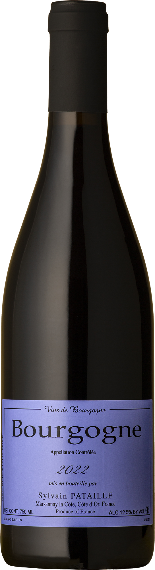 Sylvain Pataille - Bourgogne Rouge Pinot Noir 2022 Red Wine