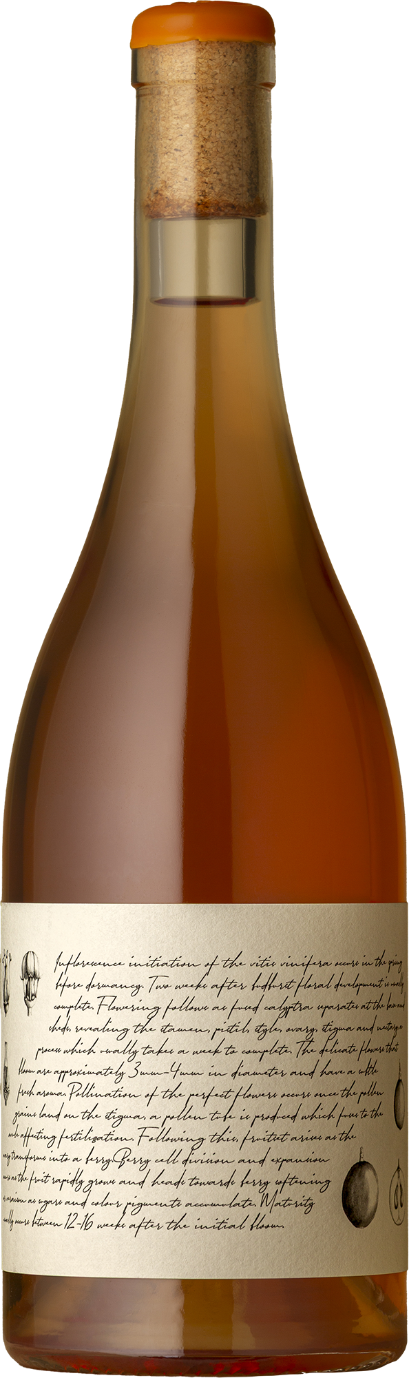 M&J Becker Wines - Amber Skin-contact Pinot Gris 2024 Orange Wine