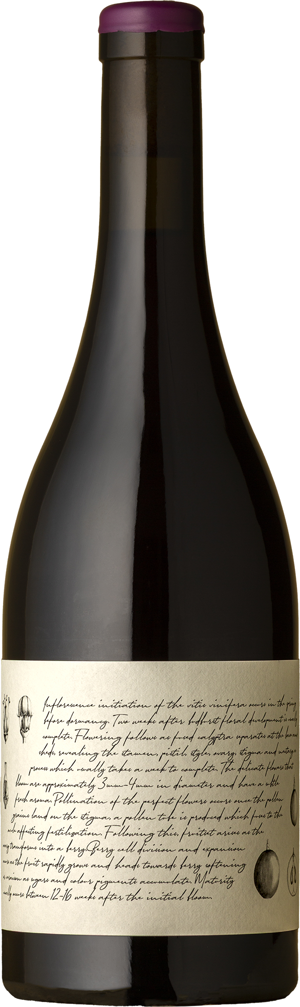 M&J Becker Wines - Tumbarumba Pinot Noir 2024 Red Wine