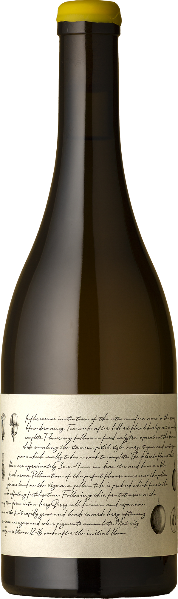 M&J Becker Wines - Hunter Valley Chardonnay 2024 White Wine