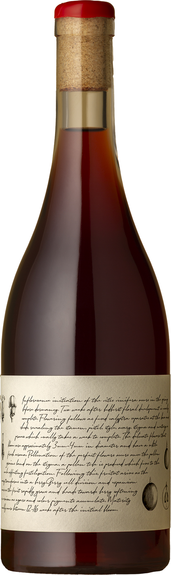 M&J Becker Wines - Tumbarumba Pinot Meunier 2024 Red Wine