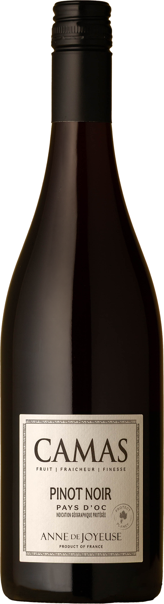 Camas - Pays d'Oc Pinot Noir 2024 Red Wine