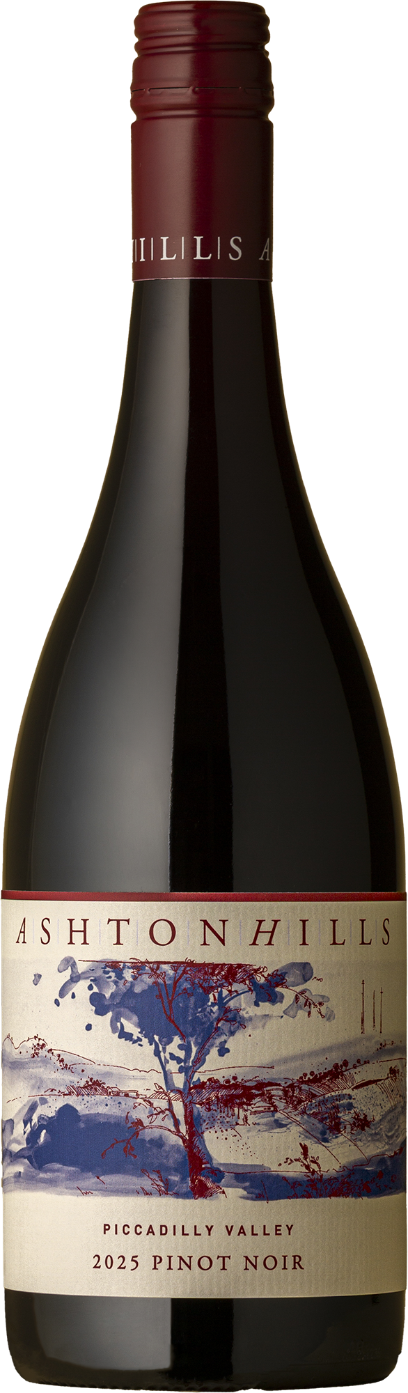 Ashton Hills - Piccadilly Valley Pinot Noir 2025 Red Wine