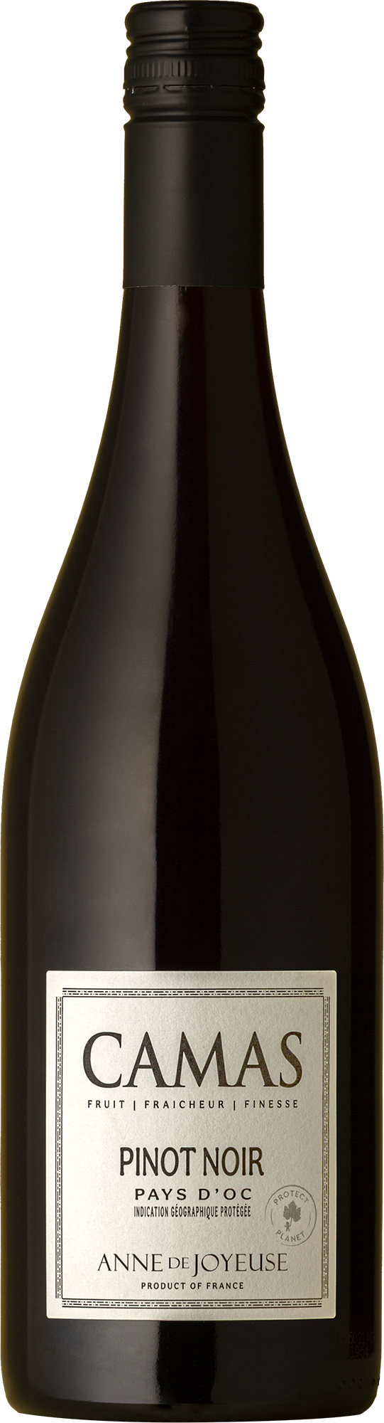 Camas - Pays d'Oc Pinot Noir 2025 Red Wine