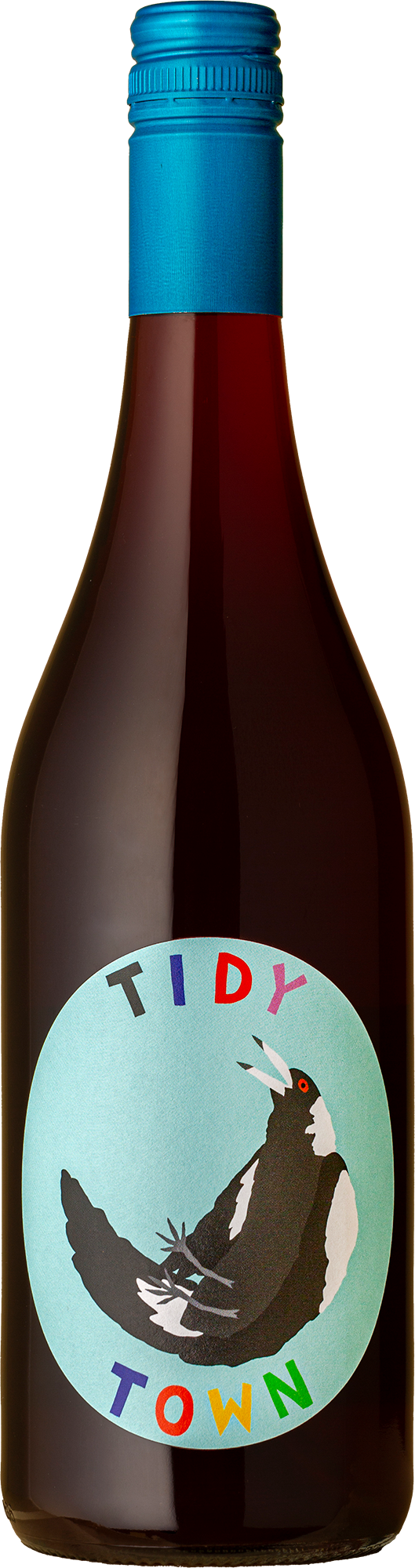 Tidy Town - Swoopy Boi Chilled Red Lambrusco Maestri 2023 Red Wine