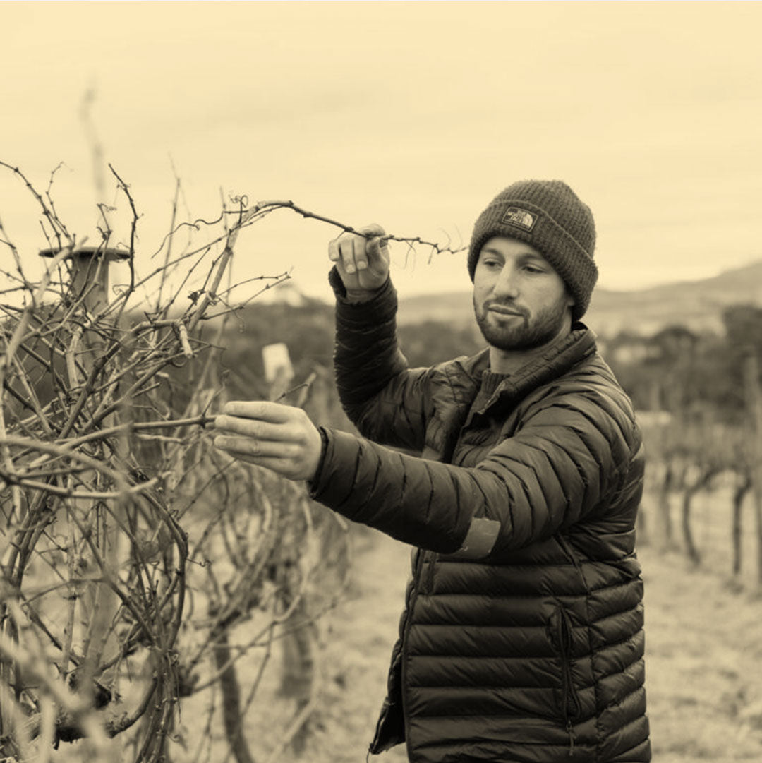 Head winemaker Sam Renzaglia in the vineyard