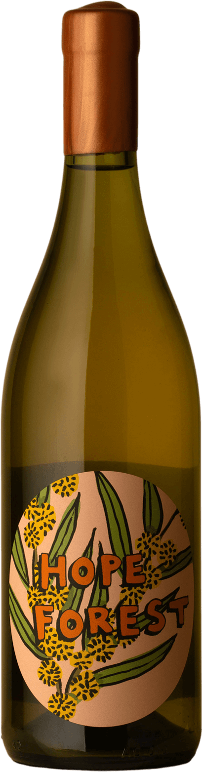 Worlds Apart Wines - Hope Forest Sauvignon Blanc 2020 Orange Wine