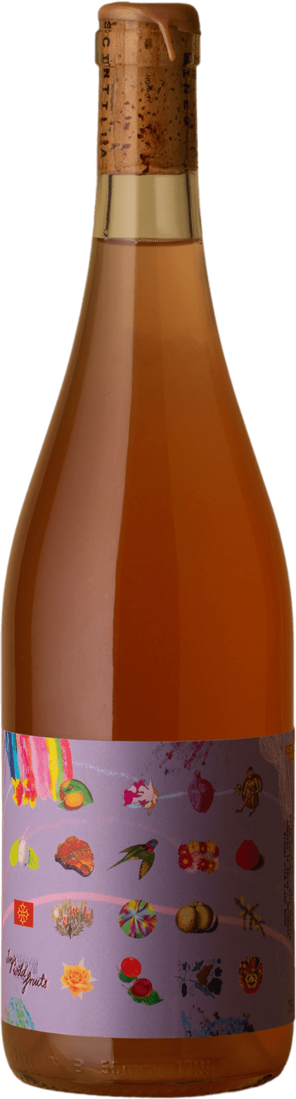 Scintilla - Joy's Wild Fruits Rosé 2020 Rosé