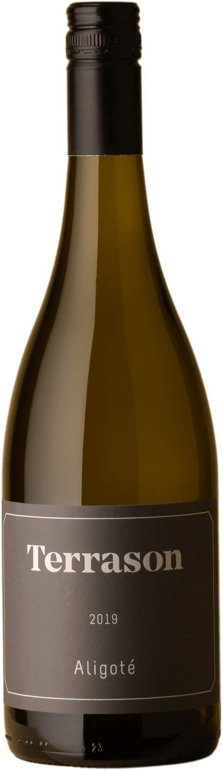 Terrason - Aligoté 2019 White Wine