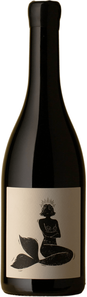 Vin Noé - Bourgogne ‘Gueule d’Amour’ Pinot Noir 2019 Red Wine