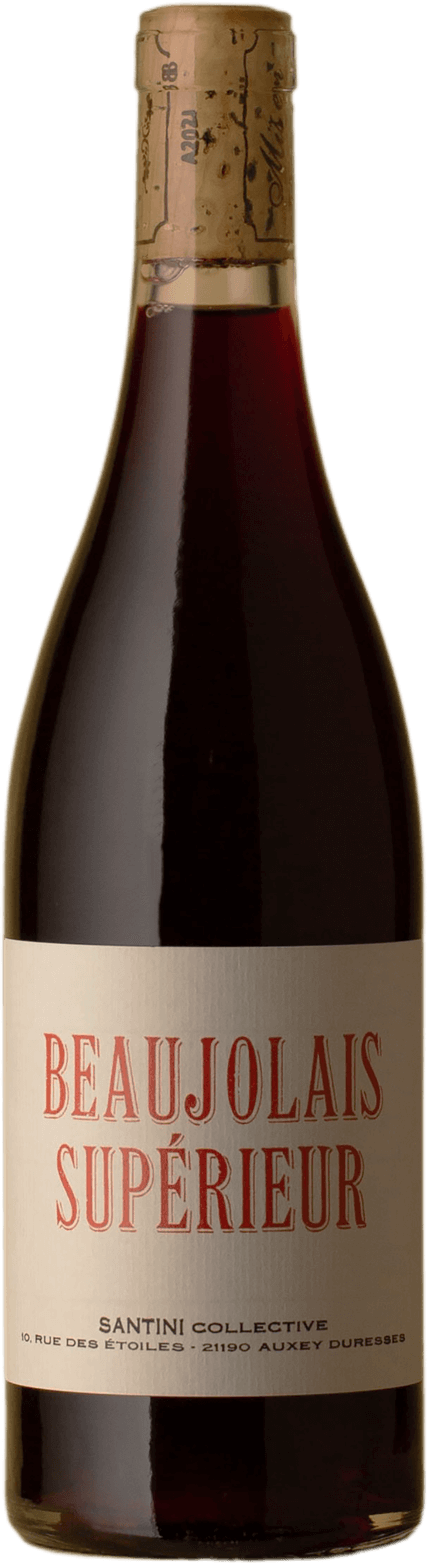 Santini - Beaujolais Supérieur Gamay 2019 Red Wine