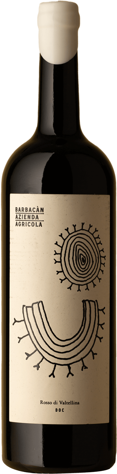 Barbacan - Rosso di Valtellina Magnum Nebbiolo 2019 Red Wine