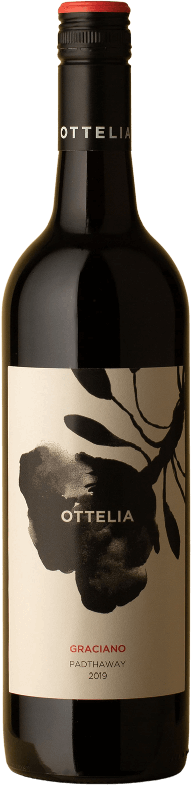 Ottelia - Graciano 2019 Red Wine