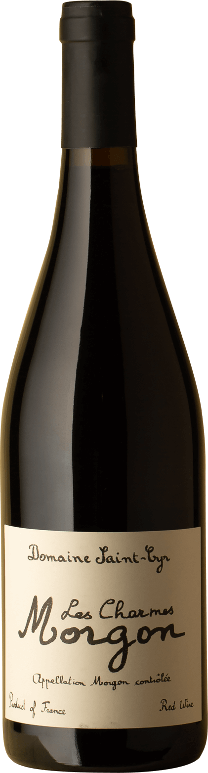 Domaine Saint-Cyr - Morgon Les Charmes Gamay 2019 Red Wine