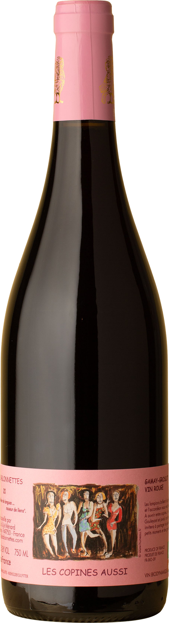 Domaine des Sablonnettes - Les Copines Aussi Gamay 2020 Red Wine