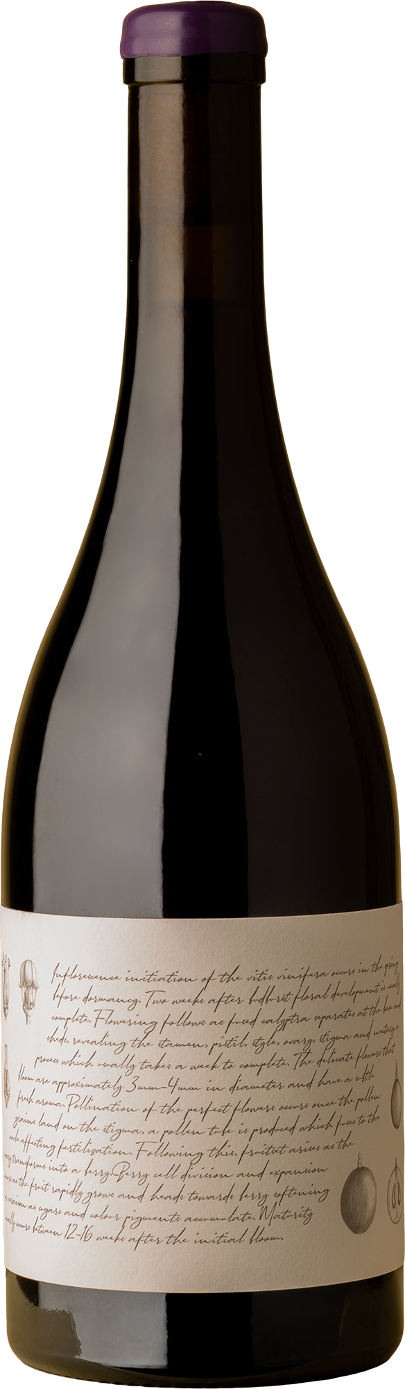 M+J Becker Wines - Tumbarumba Pinot Noir 2022 Red Wine